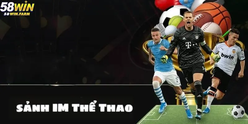 Im Thể Thao Tại 58win: Nền Tảng Cá Cược Tối Ưu Cho Người Yêu Thể Thao 4 Kinh nghiệm khi chơi tại IM Thể Thao